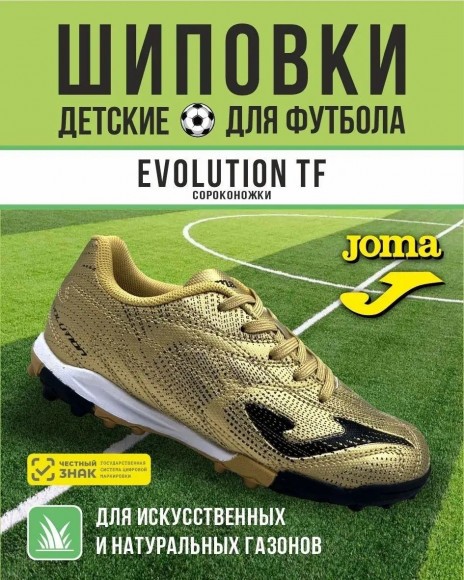 Сороконожки JOMA EVOLUTION